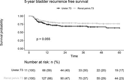 The Prognostic Impact of Tumor Location in pT3N0M0 Upper Urinary Tract Urothelial Carcinoma: A Retrospective Cohort Study